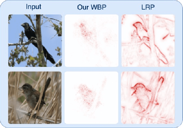 Figure 1 for Proactive Pseudo-Intervention: Causally Informed Contrastive Learning For Interpretable Vision Models