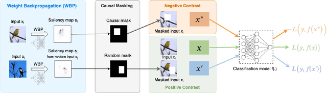 Figure 3 for Proactive Pseudo-Intervention: Causally Informed Contrastive Learning For Interpretable Vision Models