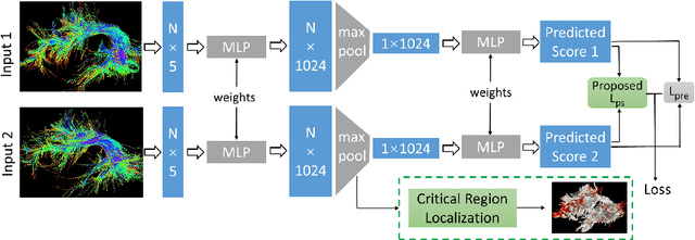 Figure 3 for White Matter Tracts are Point Clouds: Neuropsychological Score Prediction and Critical Region Localization via Geometric Deep Learning
