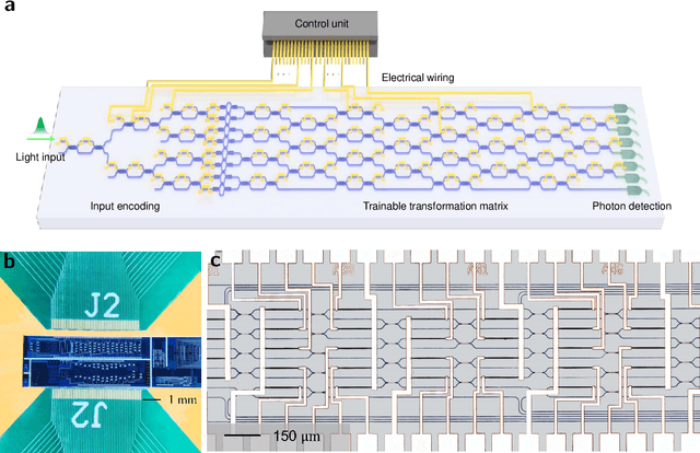 Figure 1 for A photonic chip-based machine learning approach for the prediction of molecular properties