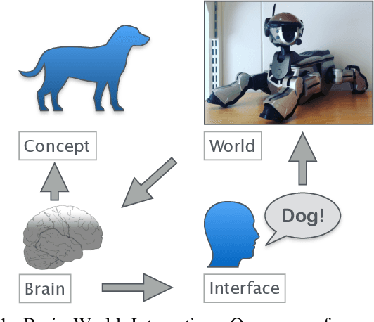 Figure 1 for Human Visual Understanding for Cognition and Manipulation -- A primer for the roboticist