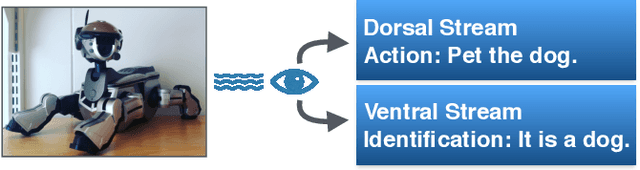 Figure 2 for Human Visual Understanding for Cognition and Manipulation -- A primer for the roboticist