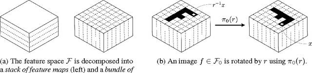 Figure 1 for Steerable CNNs