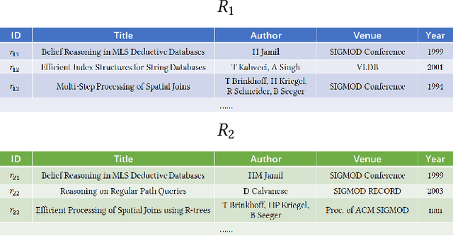 Figure 1 for Towards Interpretable and Learnable Risk Analysis for Entity Resolution