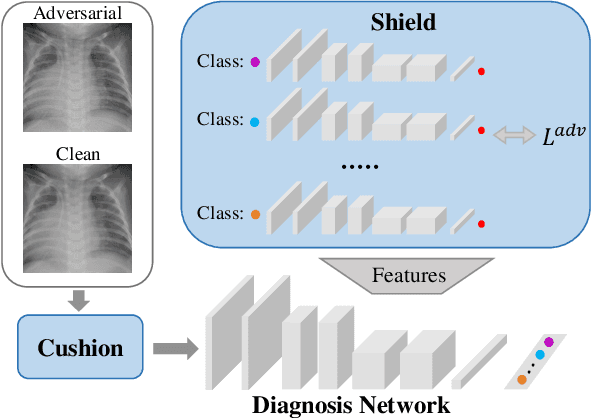 Figure 1 for Medical Aegis: Robust adversarial protectors for medical images