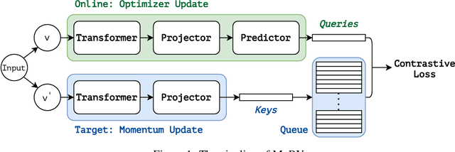 Figure 1 for Self-Supervised Learning with Swin Transformers