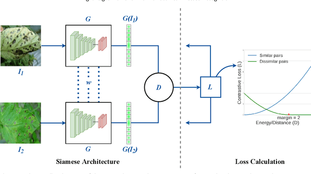 Figure 1 for Siamese Network-based Lightweight Framework for Tomato Leaf Disease Recognition