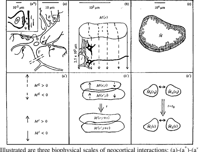 Figure 1 for Statistical mechanics of neocortical interactions: Portfolio of Physiological Indicators