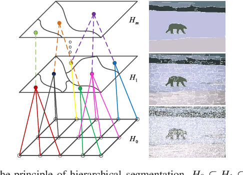 Figure 3 for Adaptive Morphological Reconstruction for Seeded Image Segmentation