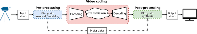 Figure 1 for Deep-based Film Grain Removal and Synthesis