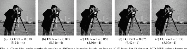 Figure 4 for Deep-based Film Grain Removal and Synthesis