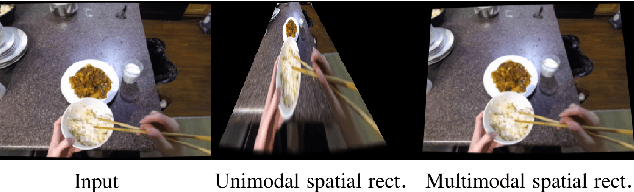 Figure 4 for Egocentric Scene Understanding via Multimodal Spatial Rectifier