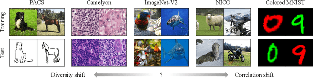 Figure 1 for OoD-Bench: Benchmarking and Understanding Out-of-Distribution Generalization Datasets and Algorithms