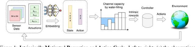 Figure 1 for Learning Efficient Representation for Intrinsic Motivation