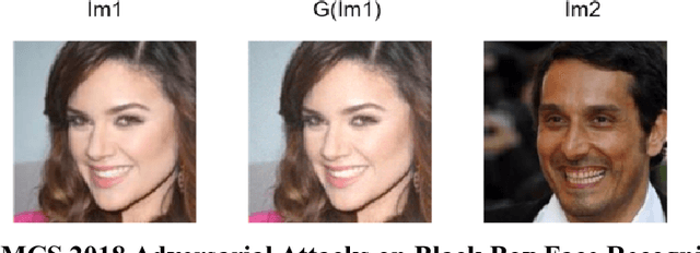 Figure 4 for Evaluation of Momentum Diverse Input Iterative Fast Gradient Sign Method (M-DI2-FGSM) Based Attack Method on MCS 2018 Adversarial Attacks on Black Box Face Recognition System