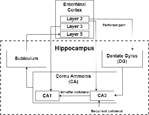 Figure 1 for A bio-inspired implementation of a sparse-learning spike-based hippocampus memory model
