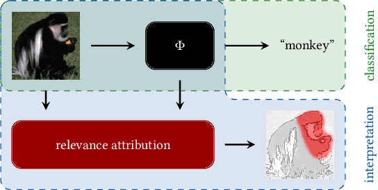 Figure 1 for Interpretable Neural Networks with Frank-Wolfe: Sparse Relevance Maps and Relevance Orderings
