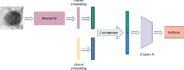 Figure 1 for Multimodal Breast Lesion Classification Using Cross-Attention Deep Networks