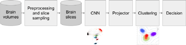 Figure 3 for Few-shot Learning with Deep Triplet Networks for Brain Imaging Modality Recognition