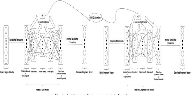 Figure 1 for Orthogonal Features-based EEG Signal Denoising using Fractionally Compressed AutoEncoder