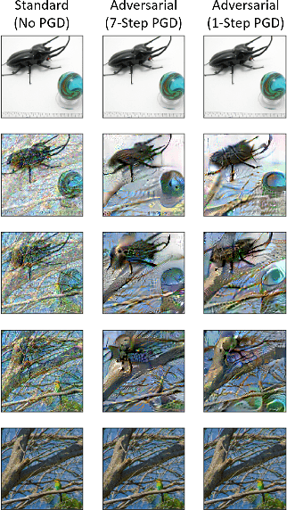 Figure 4 for Fast Training of Deep Neural Networks Robust to Adversarial Perturbations