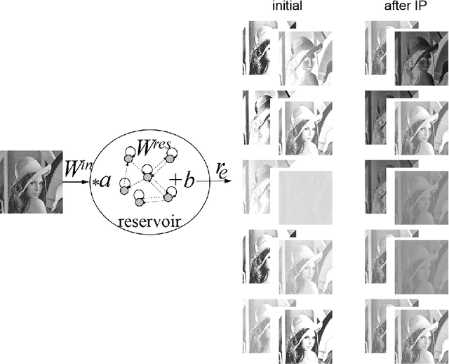 Figure 2 for Reservoir Computing Approach for Gray Images Segmentation