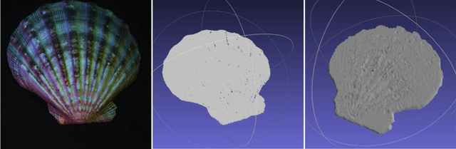 Figure 1 for Combining SLAM with muti-spectral photometric stereo for real-time dense 3D reconstruction