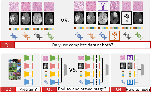 Figure 3 for Survival Prediction of Brain Cancer with Incomplete Radiology, Pathology, Genomics, and Demographic Data