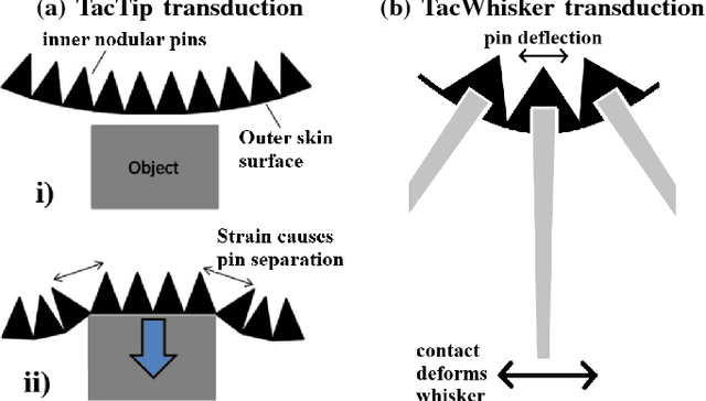 Figure 3 for TacWhiskers: Biomimetic optical tactile whiskered robots