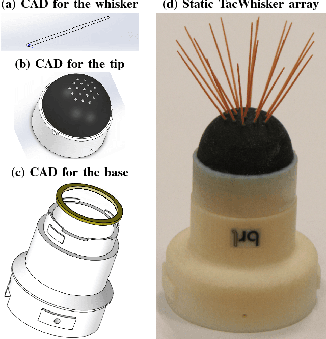Figure 4 for TacWhiskers: Biomimetic optical tactile whiskered robots