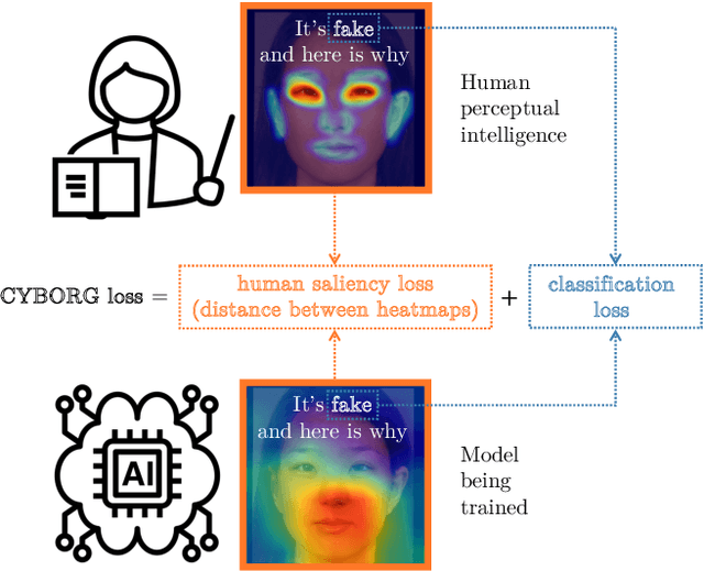 Figure 1 for CYBORG: Blending Human Saliency Into the Loss Improves Deep Learning