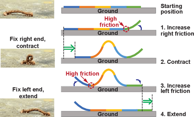 Figure 1 for Piezoelectric Soft Robot Inchworm Motion by Controlling Ground Friction through Robot Shape