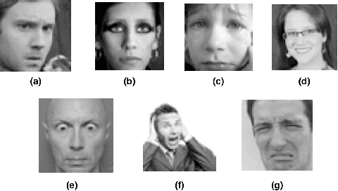 Figure 1 for Convolutional Neural Networks for Facial Expression Recognition