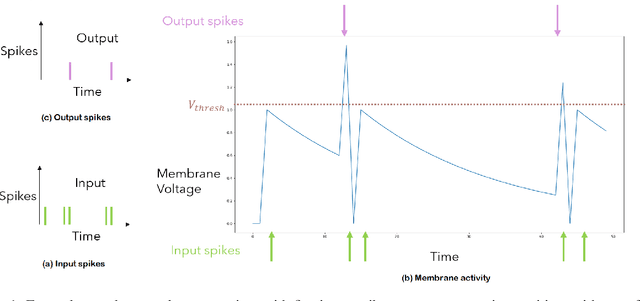 Figure 1 for Function Regression using Spiking DeepONet