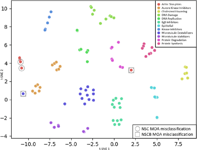 Figure 3 for Self-Supervised Learning of Phenotypic Representations from Cell Images with Weak Labels