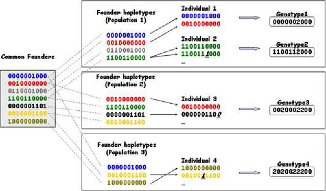 Figure 1 for A hierarchical Dirichlet process mixture model for haplotype reconstruction from multi-population data
