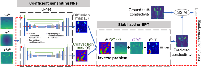 Figure 1 for Physics-Coupled Neural Network Magnetic Resonance Electrical Property Tomography (MREPT) for Conductivity Reconstruction