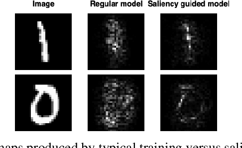 Figure 1 for Improving Deep Learning Interpretability by Saliency Guided Training