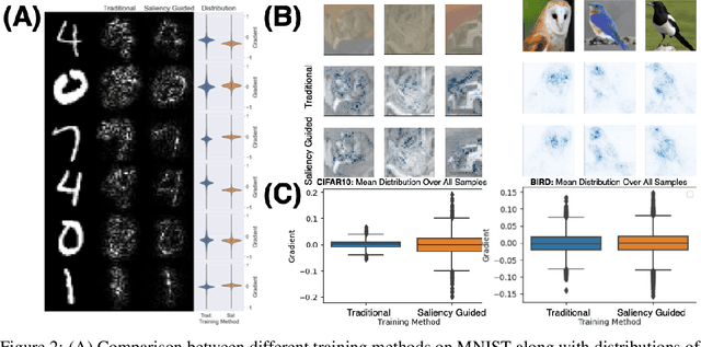 Figure 3 for Improving Deep Learning Interpretability by Saliency Guided Training