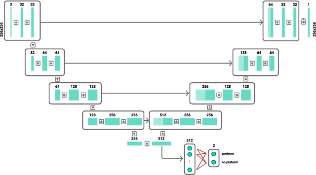 Figure 2 for Spontaneous preterm birth prediction using convolutional neural networks