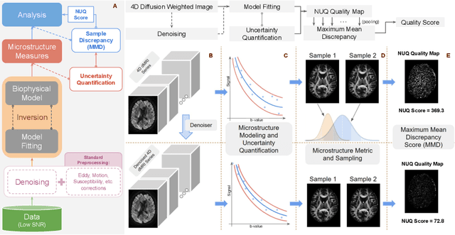 Figure 1 for NUQ: A Noise Metric for Diffusion MRI via Uncertainty Discrepancy Quantification