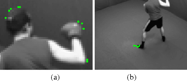 Figure 1 for Camera Calibration by Global Constraints on the Motion of Silhouettes