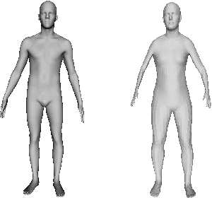 Figure 2 for Meta Deformation Network: Meta Functionals for Shape Correspondence