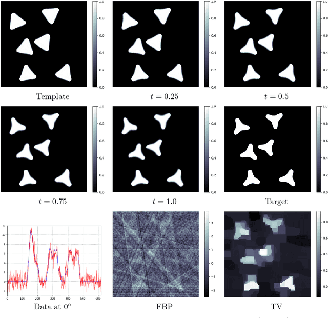 Figure 3 for Indirect Image Registration with Large Diffeomorphic Deformations