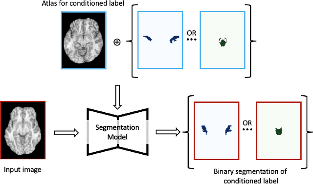 Figure 1 for Label conditioned segmentation
