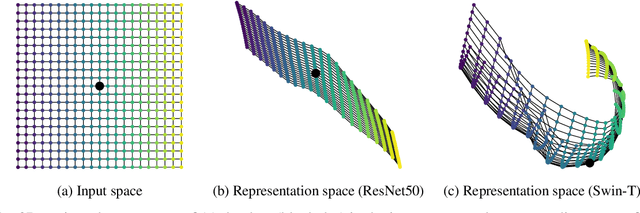 Figure 1 for Curved Representation Space of Vision Transformers