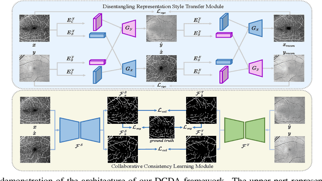 Figure 2 for Unsupervised Domain Adaptation for Cross-Modality Retinal Vessel Segmentation via Disentangling Representation Style Transfer and Collaborative Consistency Learning