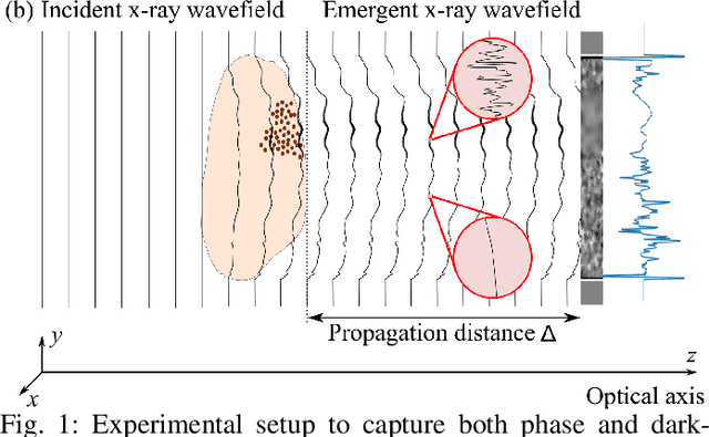 Figure 1 for X-ray dark-field and phase retrieval without optics, via the Fokker-Planck equation