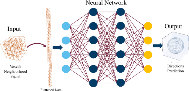 Figure 4 for AxonNet: A self-supervised Deep Neural Network for Intravoxel Structure Estimation from DW-MRI