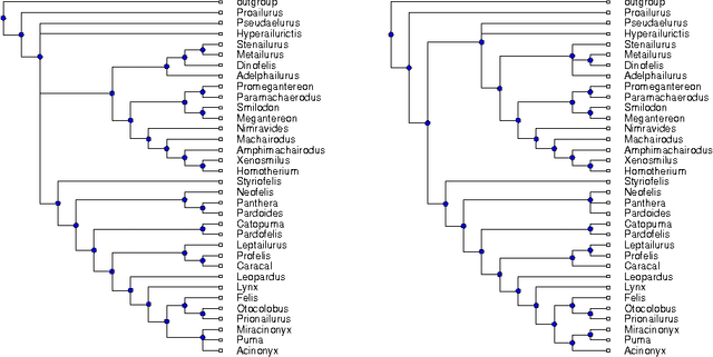 Figure 3 for Optimizing Phylogenetic Supertrees Using Answer Set Programming